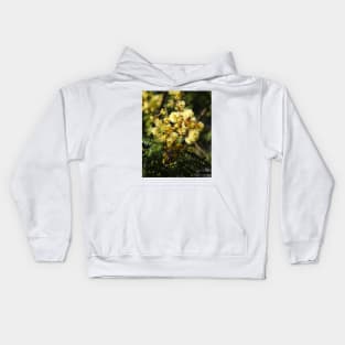 European Honey Bee on Wattle Kids Hoodie